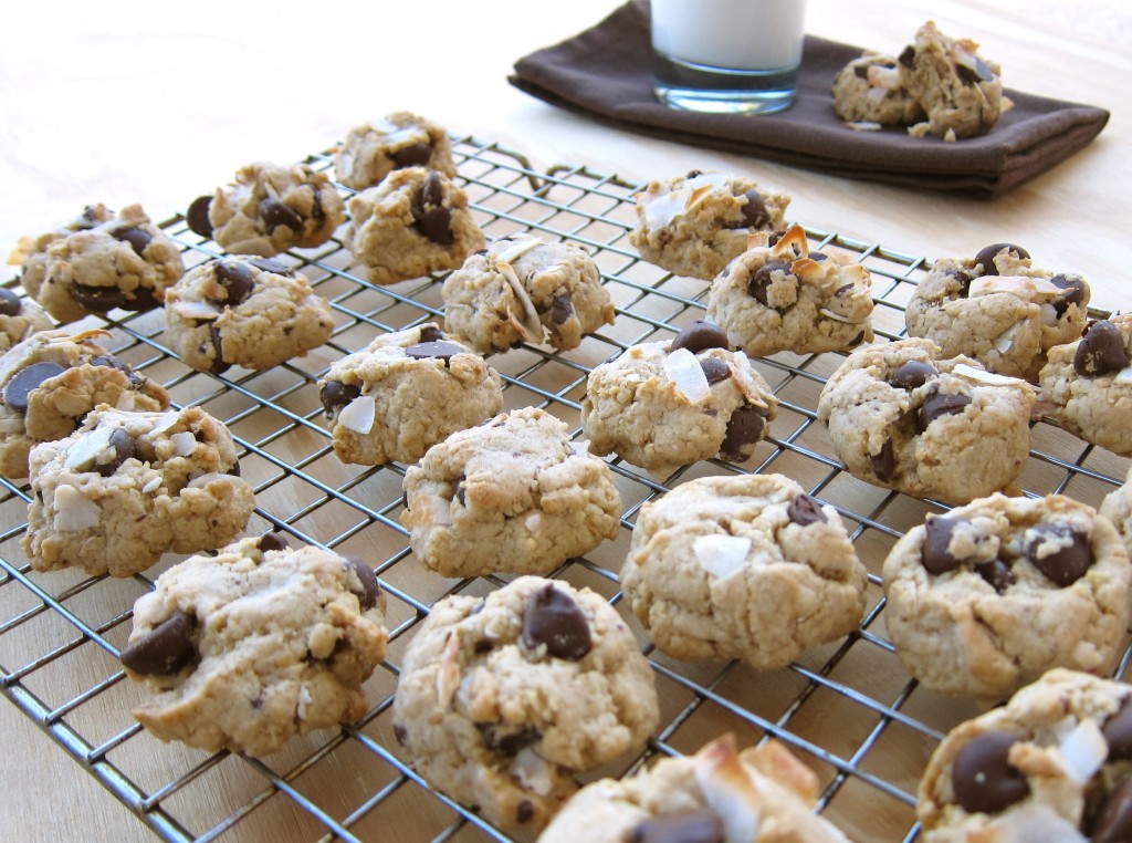 Weight Watchers Food Processor Chocolate ChipOatmeal Cookies
