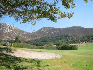 Golf course on an avocado grove