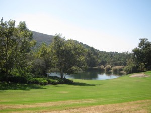 View walking to the avocado grove