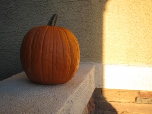 Pumpkin