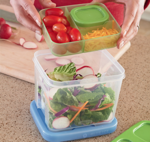 Rubbermaid LunchBlox Salad Kit for school lunch boxes